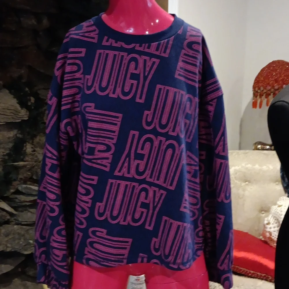 Juicy Couture Sweatshirt - Picture 1 of 4